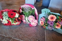 ein Bild aus dem Album